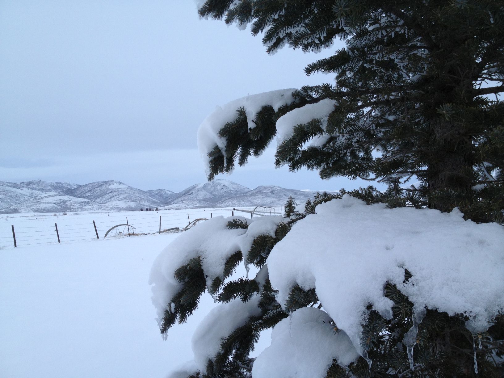 Snow